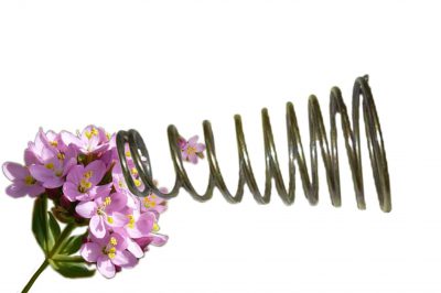 grupo05-centaury-final