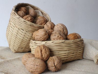 grupo05-walnut-final